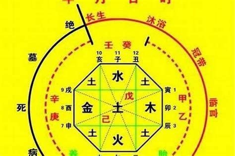 八字看喜用神|八字喜用神查询